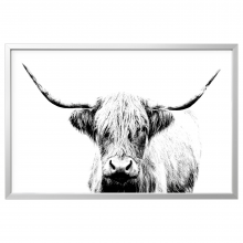 BJÖRKSTA БЬЁРКСТА, Картина с рамой, Шотландская корова/цвет алюминия