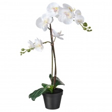 FEJKA ФЕЙКА, Искусственное растение в горшке, Орхидея белый