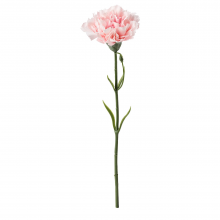 SMYCKA СМИККА, Цветок искусственный, гвоздика/розовый