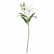 SMYCKA СМИККА, Цветок искусственный, лилия/белый