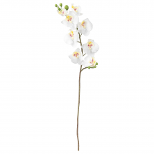 SMYCKA СМИККА, Цветок искусственный, Орхидея/белый