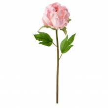 SMYCKA СМИККА, Цветок искусственный, Пион/розовый